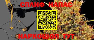 метадон Гатчина