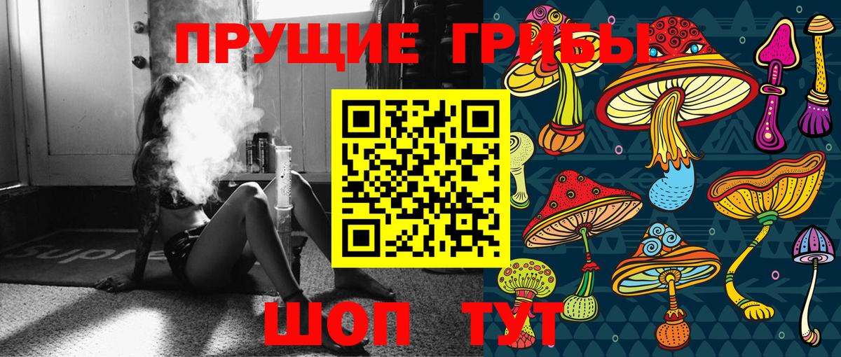 Псилоцибиновые грибы Cubensis  Вход с VPN  Россия 
