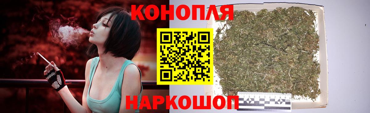 Бошки Шишки конопля Россия